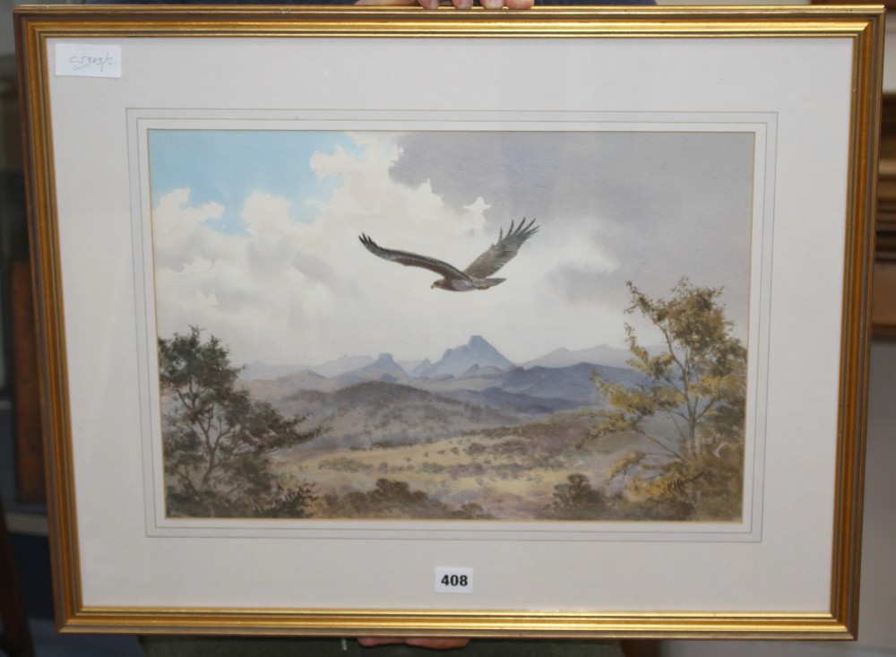 John Cyril Harrison (1898-1985), watercolour, Martial Eagle - Zimbabwe dry season, signed, 33 x 47cm